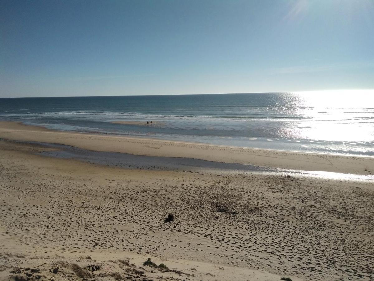 Zenzela Surf House Hotell Naujac-sur-Mer Exteriör bild